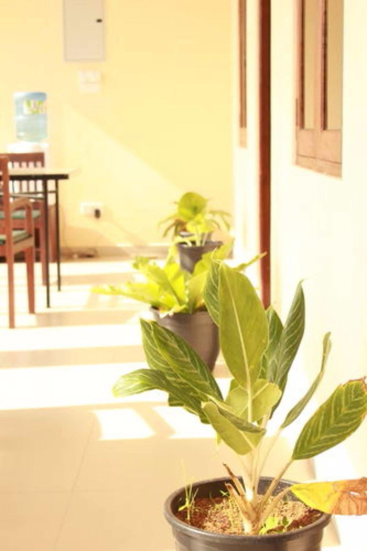 Pearl City Hotel Tissamaharama Eksteriør bilde